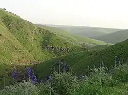 Nachal Tavor - pohled k východu