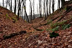 Příkop okolo hradního jádra