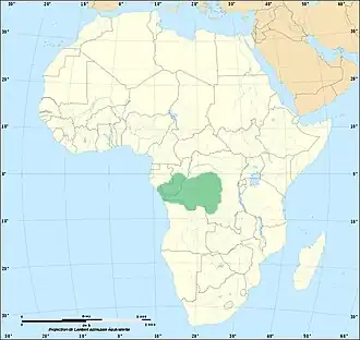 Oblast výskytu kobry konžské