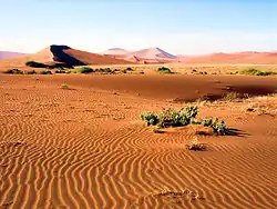 Duny v Národním parku Namib-Naukluft