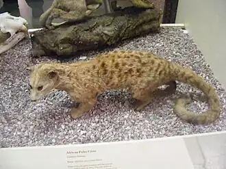 alternativní popis obrázku chybí