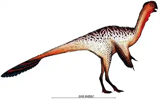 alternativní popis obrázku chybí