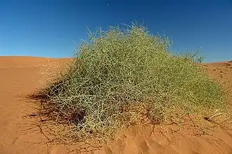 alternativní popis obrázku chybí