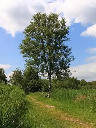 alternativní popis obrázku chybí