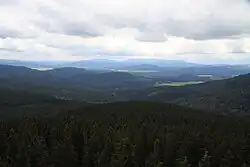 Hřeben Trojmezenské hornatiny viděný z rozhledny na Boubíně
