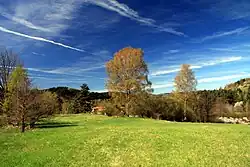 Vyšenské kopce na jaře