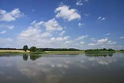 Farářský rybník s leknínem bílým