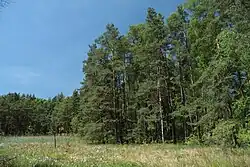 Rašeliniště v oblasti památky