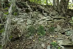 Skalní výchoz na lokalitě