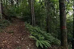 Pohled na území přírodní památky z turistické cesty