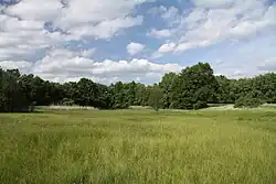 Mokřadní louka s rybníkem v pozadí