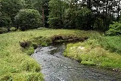 Pohled na jeden z meandrů Chřibské Kamenice