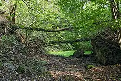 Pohled na jezírko na dně lomu