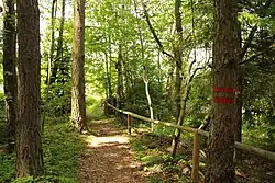 Cesta vedoucí okolo památky