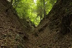 Údolí na území přírodní památky