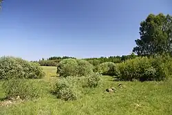 Pohled na oblast památky