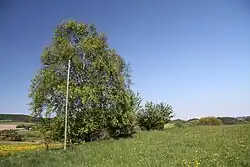 Oblast přírodní památky