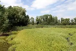 Vodní plocha na lokalitě