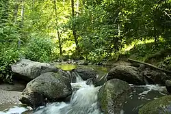 Potok v oblasti stejnojmenné přírodní památky