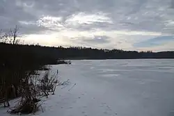 Přírodní rezervace Záhorský rybník v zimě