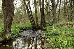 Bystřina – Lužní potok