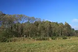 Lužní les na východním okraji chráněného území