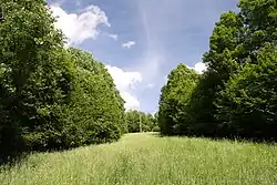 Louka ve větší ze dvou oddělených rezervací