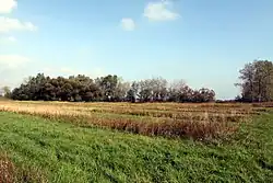 Louka na podzim 2014