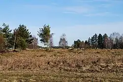 Seskupené balvany v oblasti rezervace