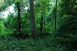 Rezervace v roce 2017