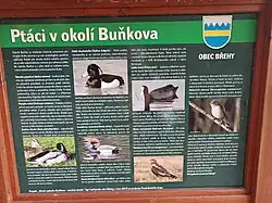 Ptáci v okolí Buňkova