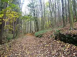 Podzimní pasáž stezky směrem ke Komáří hůrce