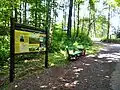 Lavička s tabulí naučné stezky nedaleko Janského vrchu