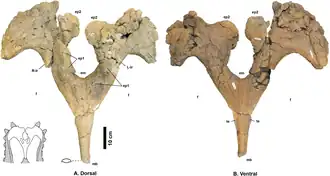alternativní popis obrázku chybí