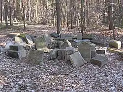 Židovský hřbitov v Nečtinech