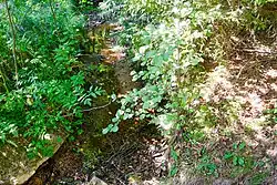 V místě u vesnice Lipná