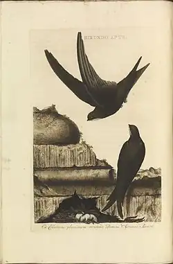 Jan Christiaan Sepp, asi 1770