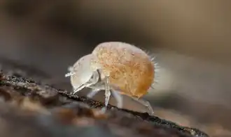 alternativní popis obrázku chybí