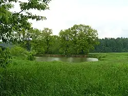 Rybník Horní Nejepín na bezejmenném přítoku