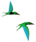 alternativní popis obrázku chybí