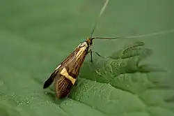 alternativní popis obrázku chybí