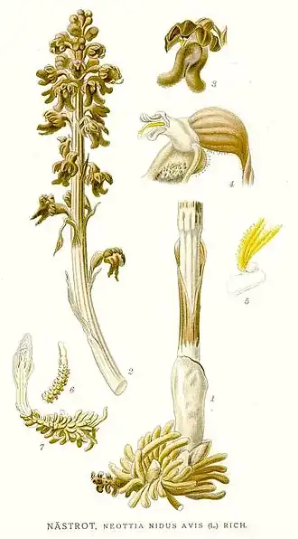 alternativní popis obrázku chybí