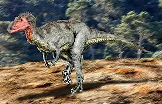 alternativní popis obrázku chybí