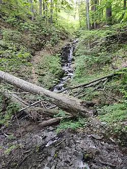 Potok u Nepřívazského vodopádu