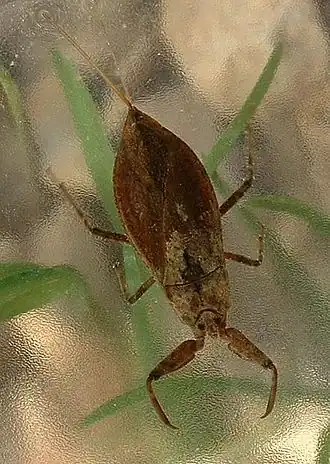 alternativní popis obrázku chybí