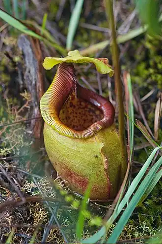 alternativní popis obrázku chybí