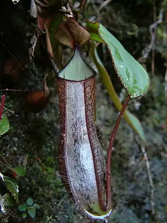 alternativní popis obrázku chybí