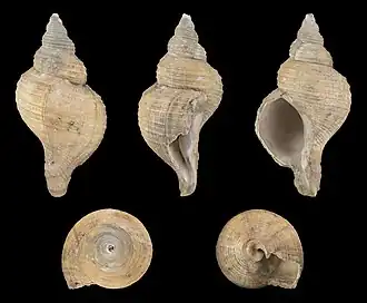 alternativní popis obrázku chybí