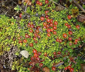 alternativní popis obrázku chybí