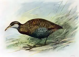 alternativní popis obrázku chybí